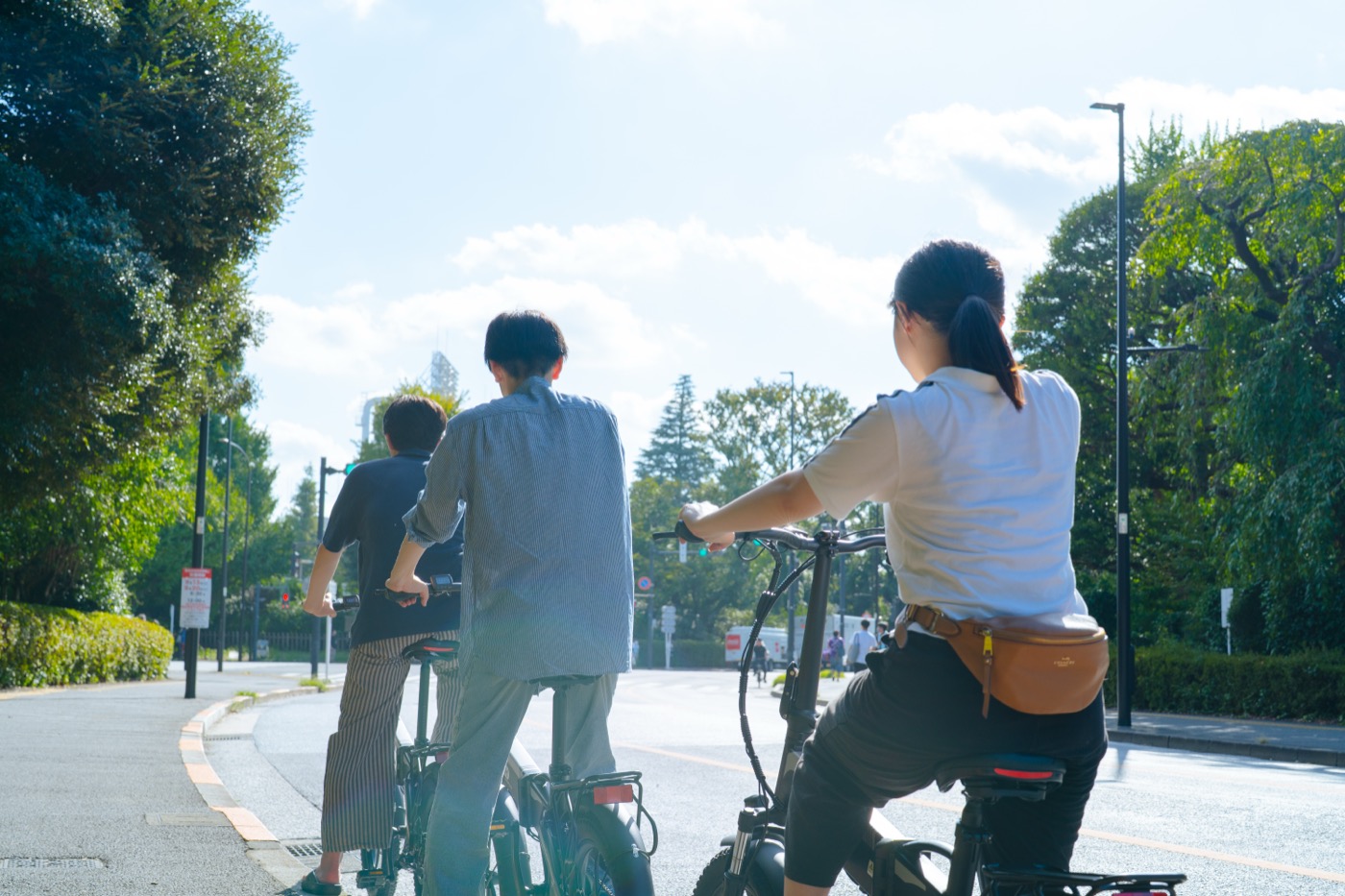 Tokyo: Private 2-Hour E-Bike Ride, City or Imperial Palace